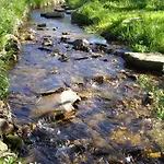 Maison d'hôtes Moulin De Montabonnel Devesset